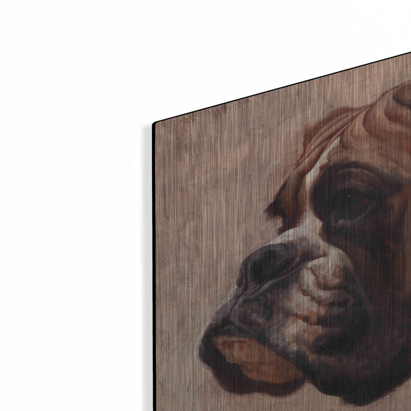 «Boxer» par Thomas Fluharty, H 16 po x l 24 po
