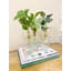 Calvo Glass Table Vase