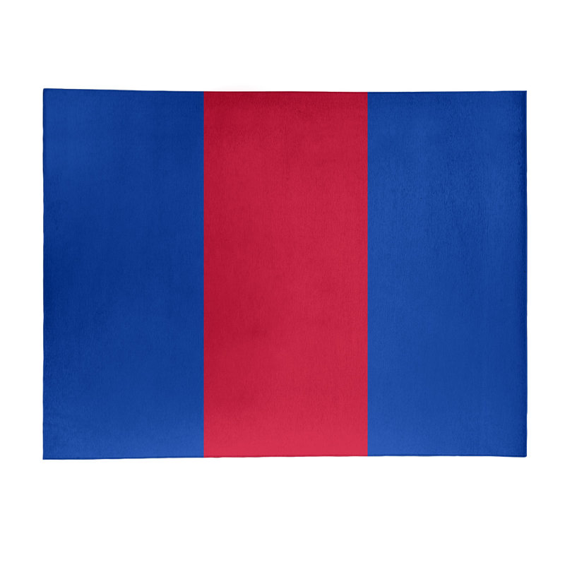 Chenille Indoor Rug, Rectangle 4' x 6'