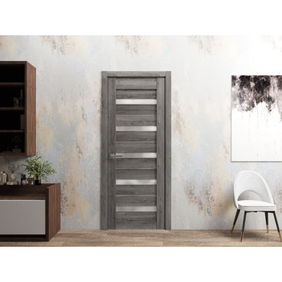 Porte-fenêtre pleine en verre dépoli Quadro 4445 Gris Nebraska, panneau simple, cadre et poignées inclus, idéal pour salle de bain ou chambre à coucher - 76 cm x 203 cm
