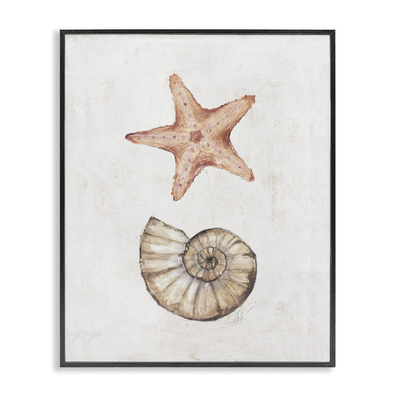  Subtle Sea Life Black Framed Giclee Art by Filippo Ioco, H 30 po x l 24 po, Giclée encadrée noir minuit