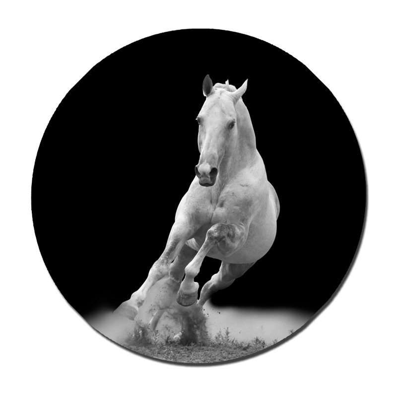 Horse Trot - Photographie avec cadre photo, H 24 po x l 24 po x P 1,5 po