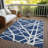 Machine Washable Indoor/Outdoor Chayden ACN1040 Rug-40946668