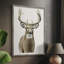 Handsome Whitetail II Framed Print - Solid Wood