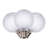 Globe Light Bulbs