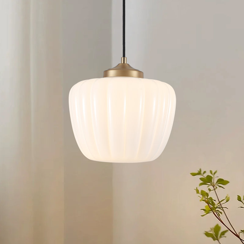 Luminaire suspendu simple 1 lumière