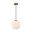 Luminaire suspendu simple 1 lumière