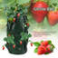 Pot de fleurs suspendu Rochel