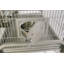 Medium Elegant Flight Cage Platinum -1625759733