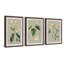 Tiny Blooms Triptych - ensemble de 3 reproductions d'art graphique-29488859