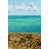 Black Floater Framed