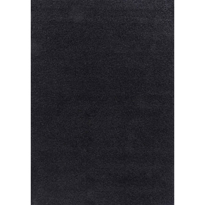 Esterly Shaggy Black Area Rug