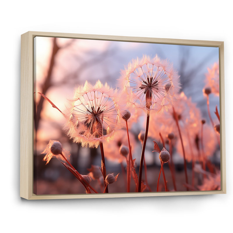 «Delicate Calm Dandelion Serenity II - Autre plante et fleurs», art mural, Cadre flottant brun, H 30 po x l 40 po x P 1,5 po