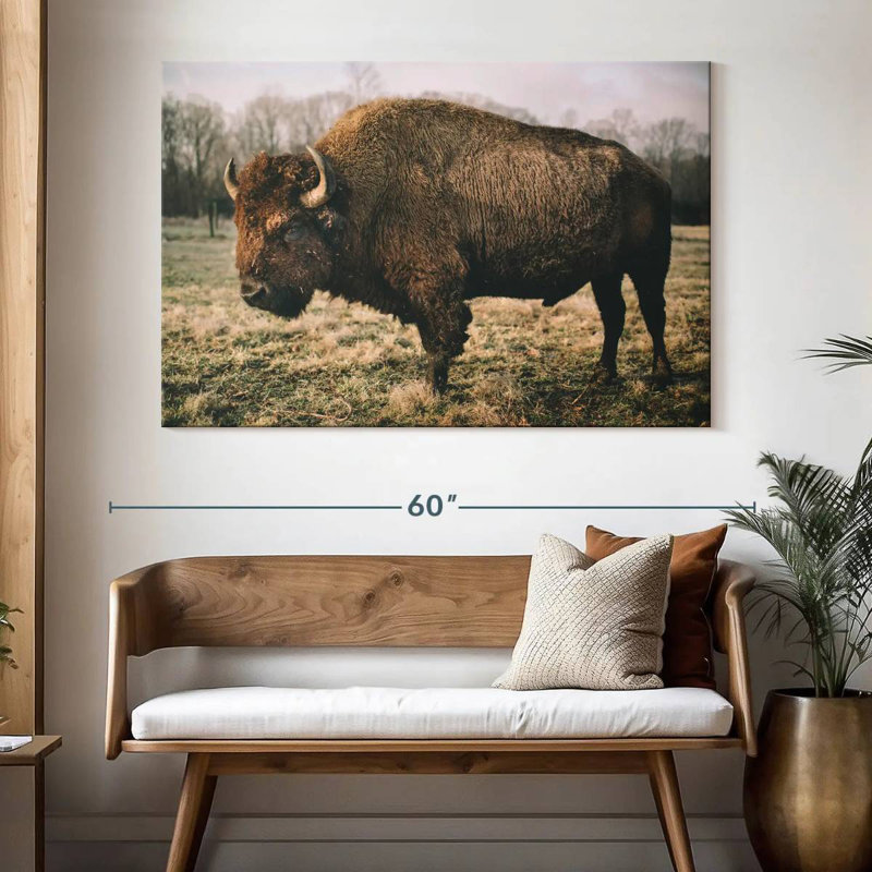 Solitary Bison IV, 34" H x 51" W