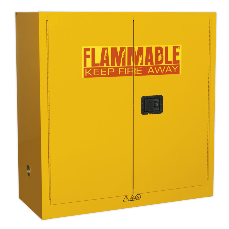 Celyn Metal Safety Cabinet