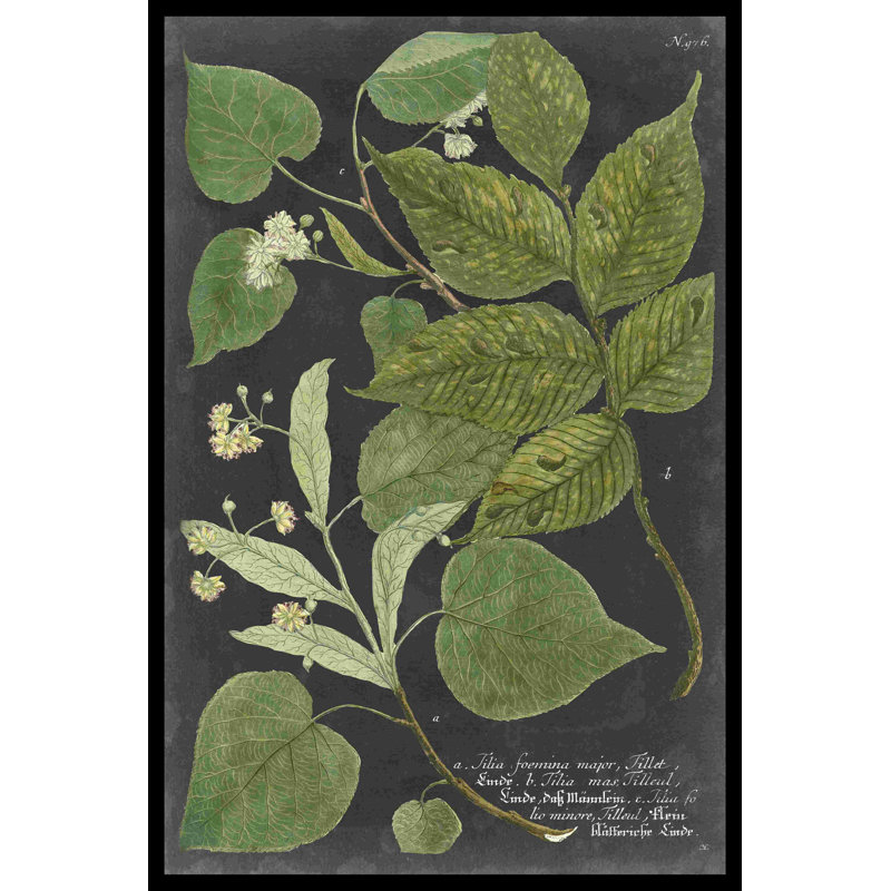 Dramatique verdure Weinmann III, H 30 po x l 20 po