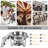 Stainless Steel (18/0) Round Display Case