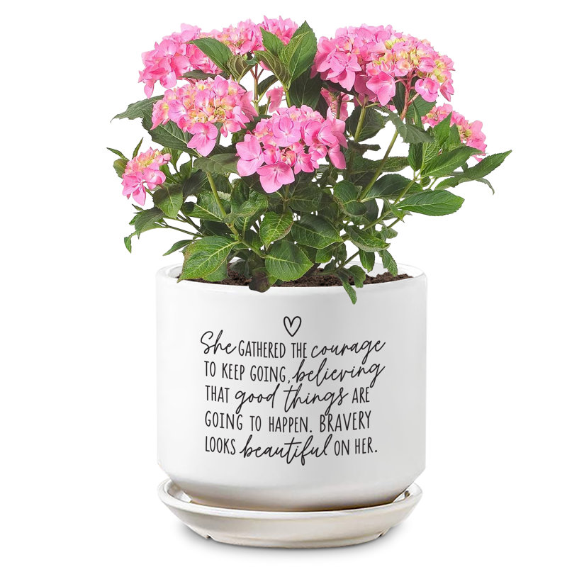 Planter She Gathered The Courage