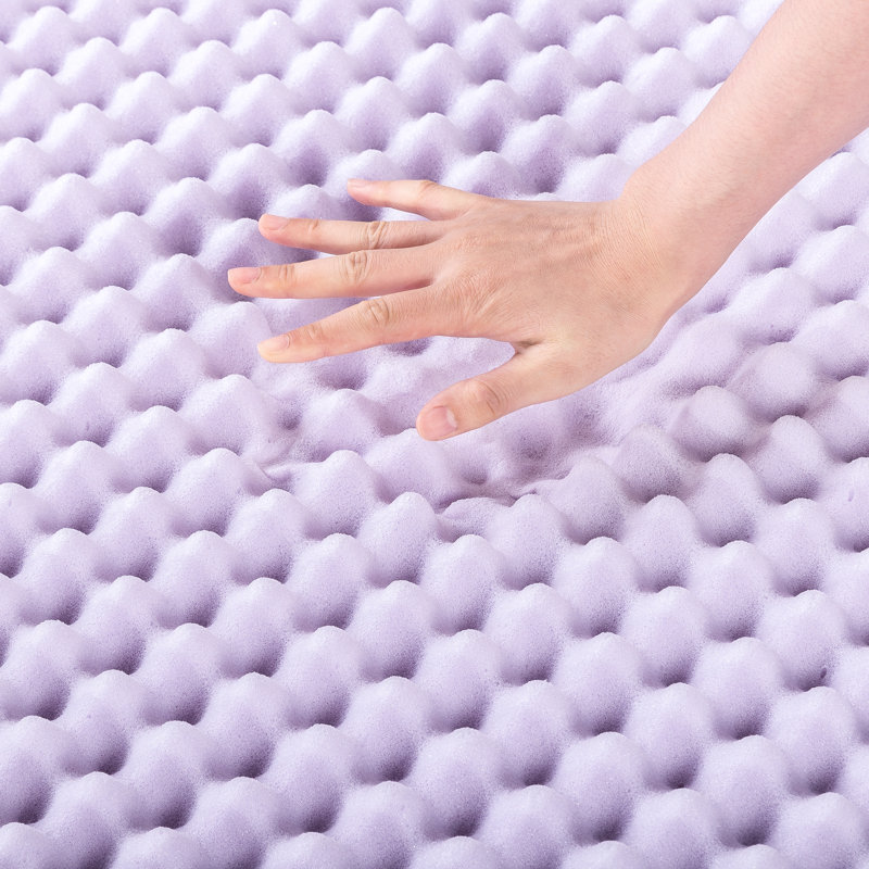 Nunez 4'' Memory Foam Mattress Topper, Queen, Lavender