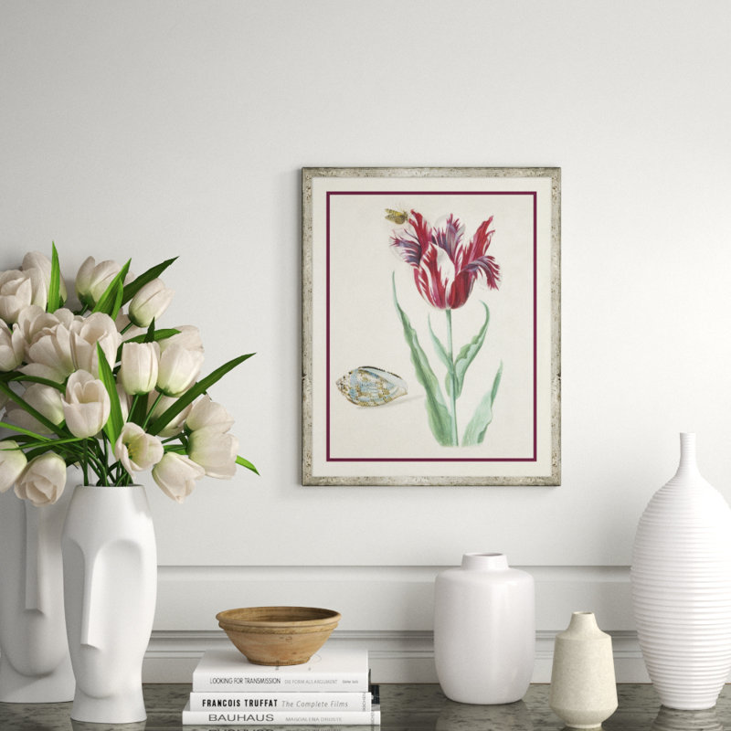 Flower, Seashell and Insect VI Framed