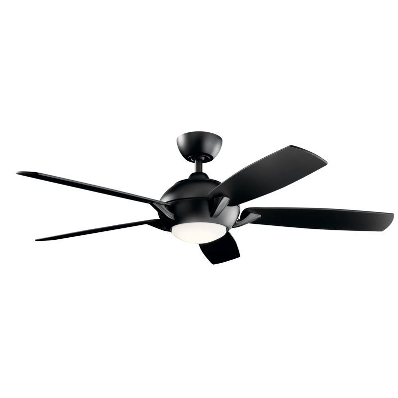 Geno 54'' Ceiling Fan with LED Lights