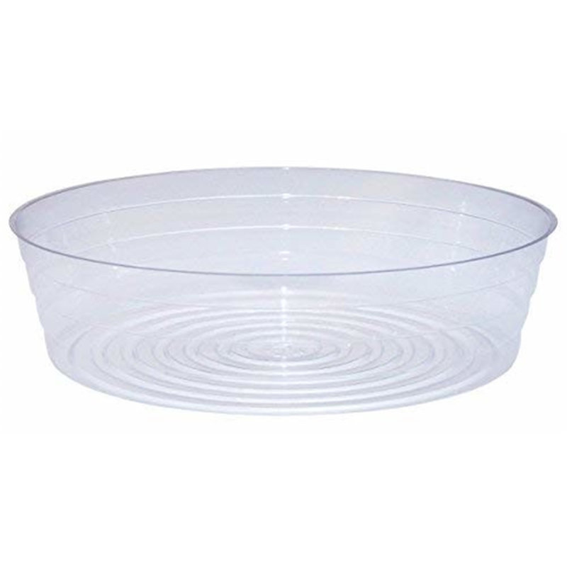 Saucer Plant Stand