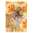 Chiot Shar Pei sélectionné