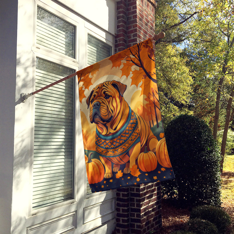 Double Sided 40'' H x 28'' W Polyester House Flag