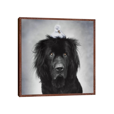 George And Hugo by Rachael Hale - Print on Canvas