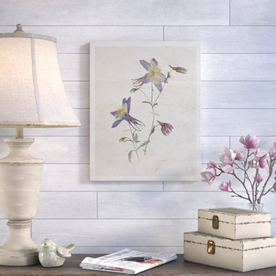 " Pressed Columbine II "