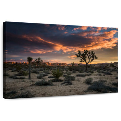 Lynelle Dusk In The Desert