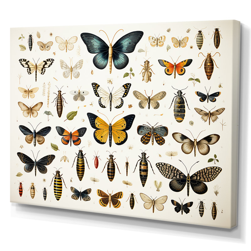 Insectes et insectes jaunes et bleus - Insectes et insectes muraux, Toile tendue, H 12 po x l 20 po x P 1 po