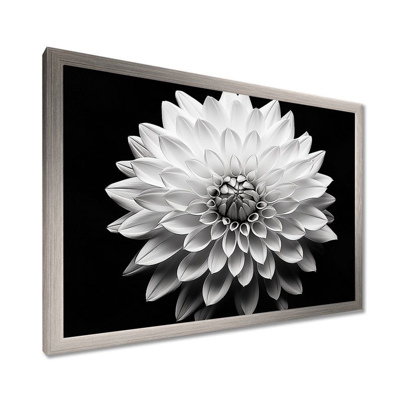 Dahlia en noir et blanc - impressions encadrées, L 40 po x H 30 po x P 1,5 po, Cadre argenté