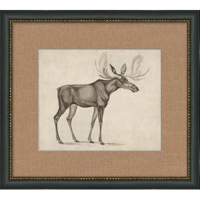 Antique Moose Painting