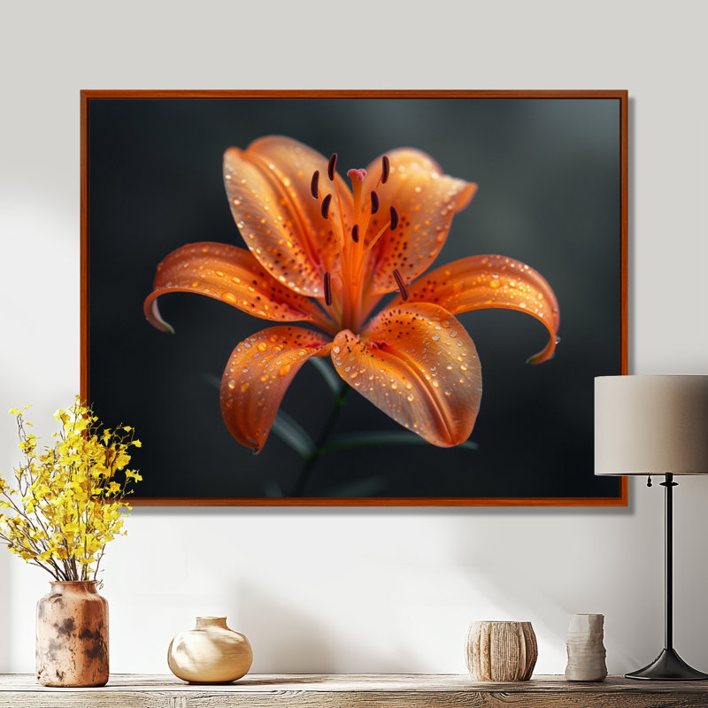 Orange orange, lis noir, photo de printemps IV - lys, art mural, Cadre flottant brun, H 30 po x l 40 po