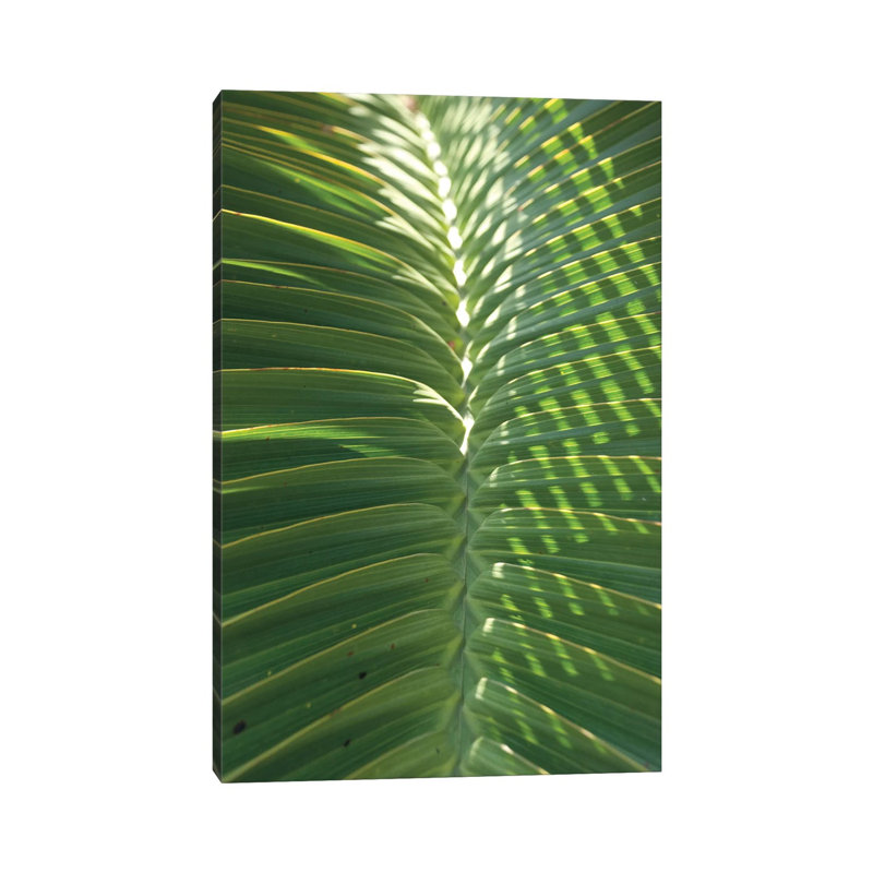 Palm Detail I by Wild Apple Portfolio - Wrapped Canvas Gallery-Wrapped Canvas Giclée, 66.04 cm H x 45.72 cm W x 1.91 cm D
