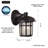 Ranae Wall Light