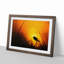 Bird in the Sunset - Framed Print-55457040-55457039