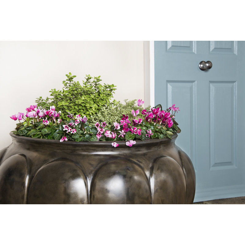 Maymie Fiberglass Planter