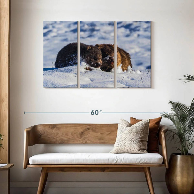 Winter Wombats, H 28 po x l 45 po