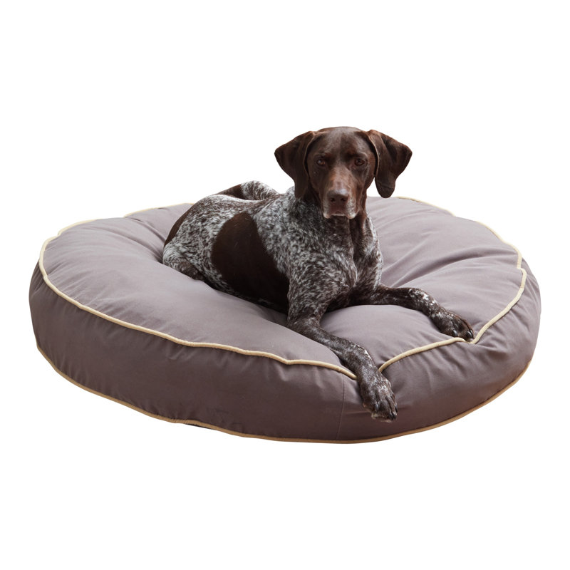 Lit pour chien Buckhead, Très grand (l 42 po x P 42 po x H 6 po), Fumée