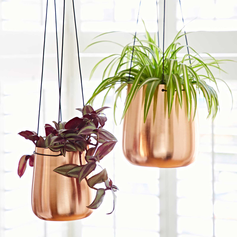 Iron Hanging Planter, 12cm H x 13cm W x 13cm D