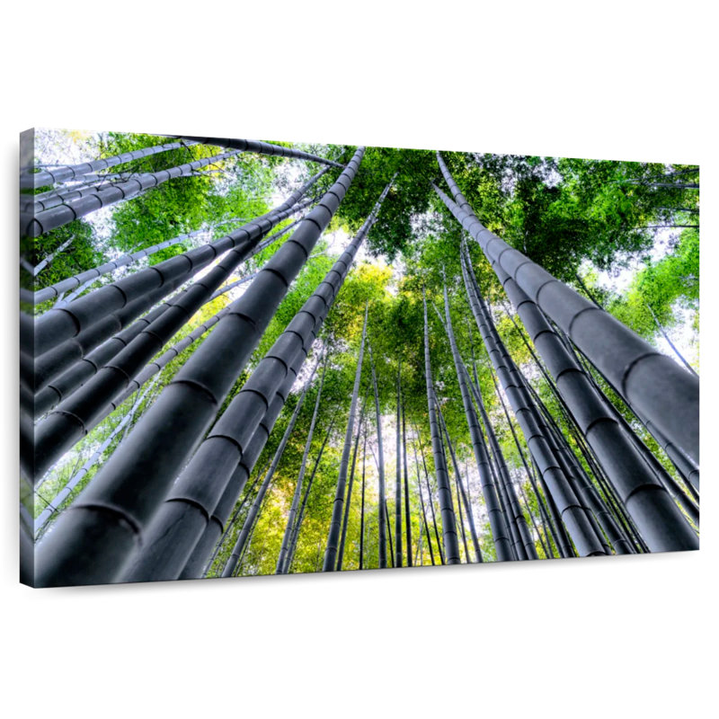 Lumière du ciel forêt de bambou Alvord, H 16 po x l 24 po