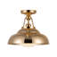 Palmetto 1 - Light Semi Flush Mount-464004318