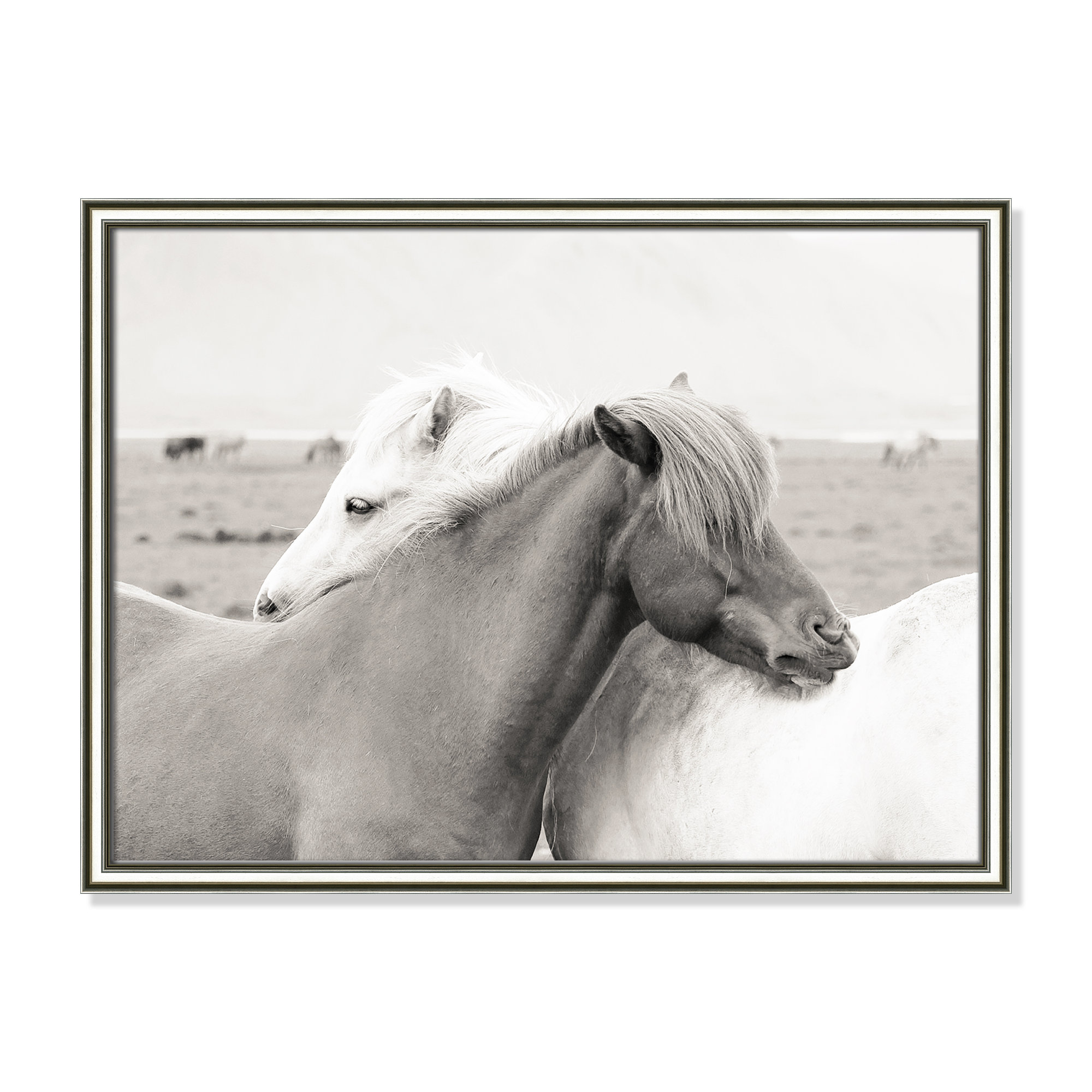 Icelandic Meadow Horses by Danita Delimont - Picture Frame Photograph on Paper, 18.25" H x 24.25" W x 0.88" D, Silver Framed