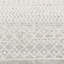 Narine Machine Woven Grey/White Indoor Rug-1546434374