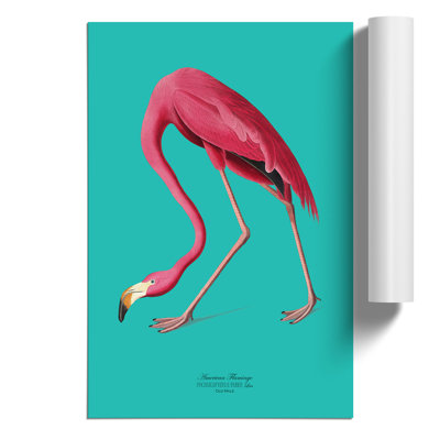 Flamingo In Teal by John Audubon - No Frame Painting