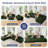 Boneless U Shaped Modular Sectional Sofa Couch-823979318-823979316