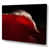 Wrapped Canvas