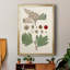 Feuilles et baies IV sur papier-88435448-88435449